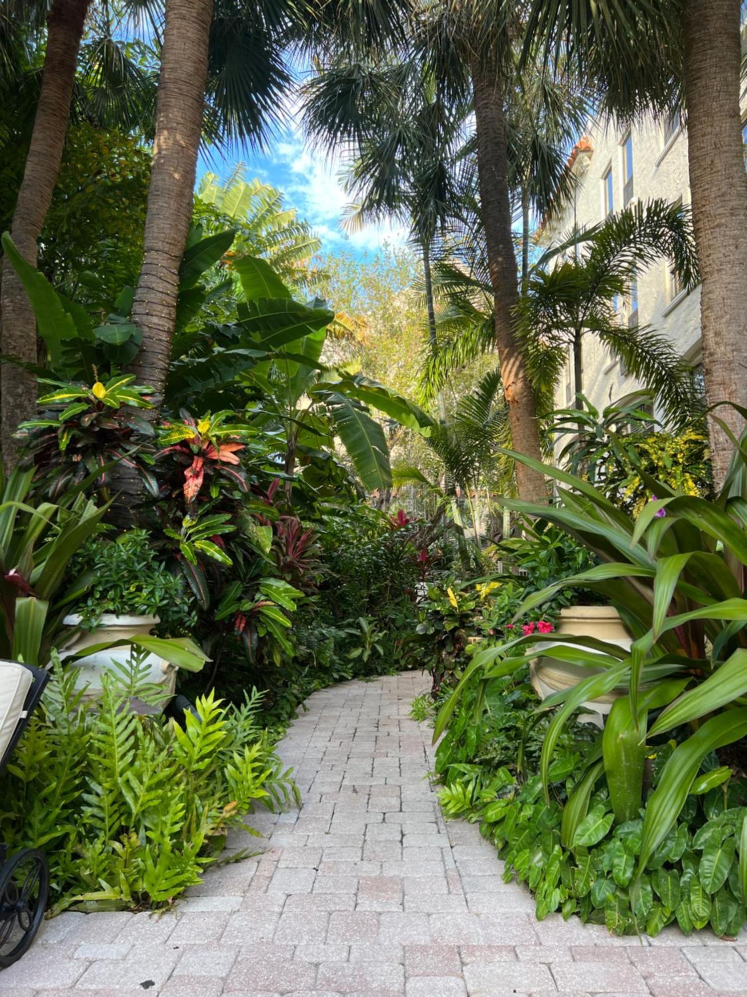 Orchid Suites - Historic Palm Beach Hotel Condominium Eksteriør billede
