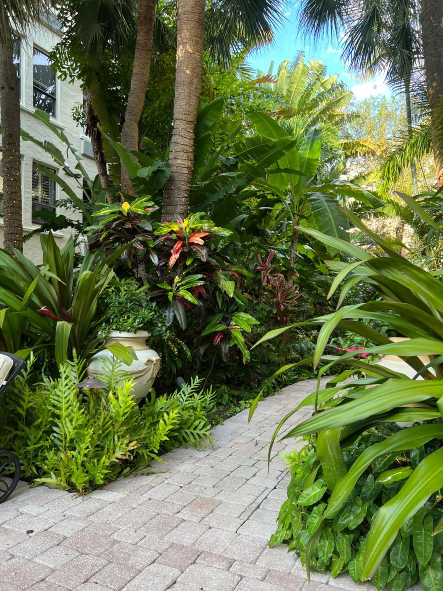 Orchid Suites - Historic Palm Beach Hotel Condominium Eksteriør billede