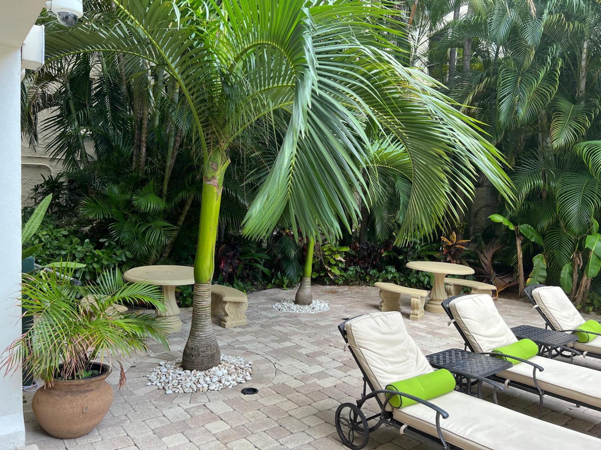 Orchid Suites - Historic Palm Beach Hotel Condominium Eksteriør billede