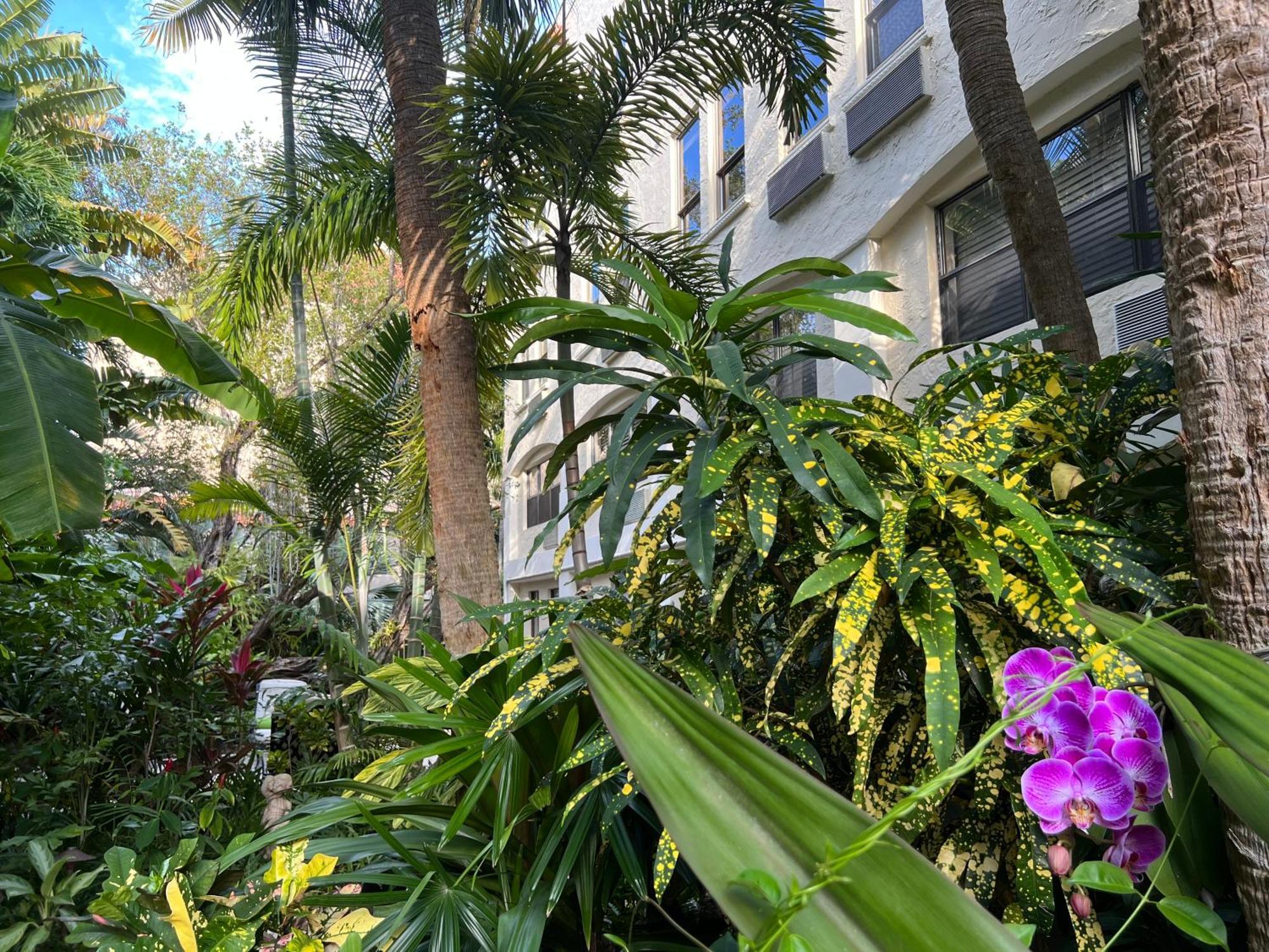 Orchid Suites - Historic Palm Beach Hotel Condominium Eksteriør billede